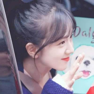 玩具车冒险旅途