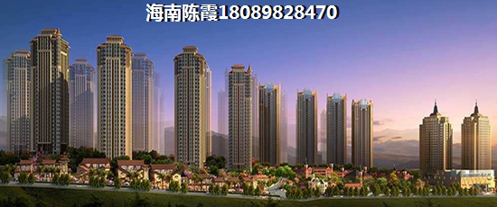 海南海南岛2024买房买房政策！