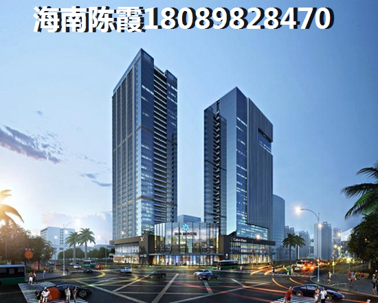 海南房子能卖吗4