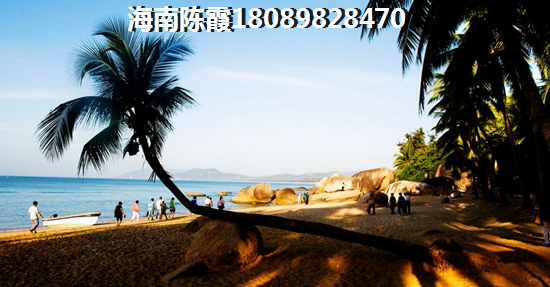 海南房子touzi价纸（海南小户型海景房在哪些小区）