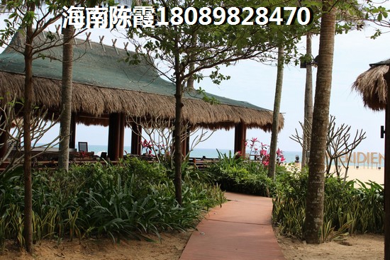 邓州市免费开放有哪些景点醉新