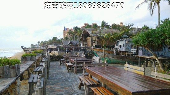 2019年海南醉新醉全小区价格表