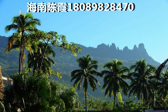 外地老人如何在海南买房